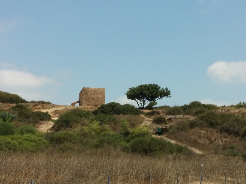 קובץ:2014.07.03-125237.093.android.jpg