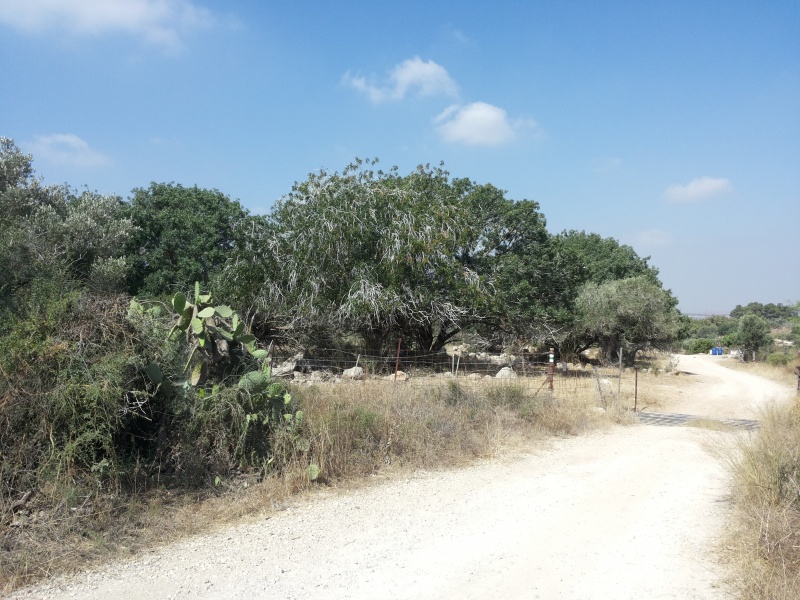 קובץ:2014.07.06-103724.625.android.jpg