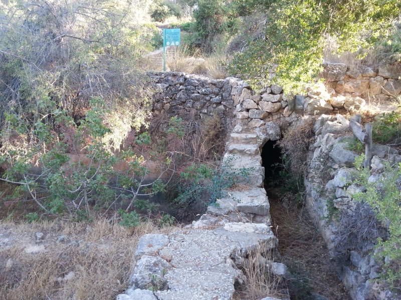 קובץ:2014.07.26-192136.507.android.jpg