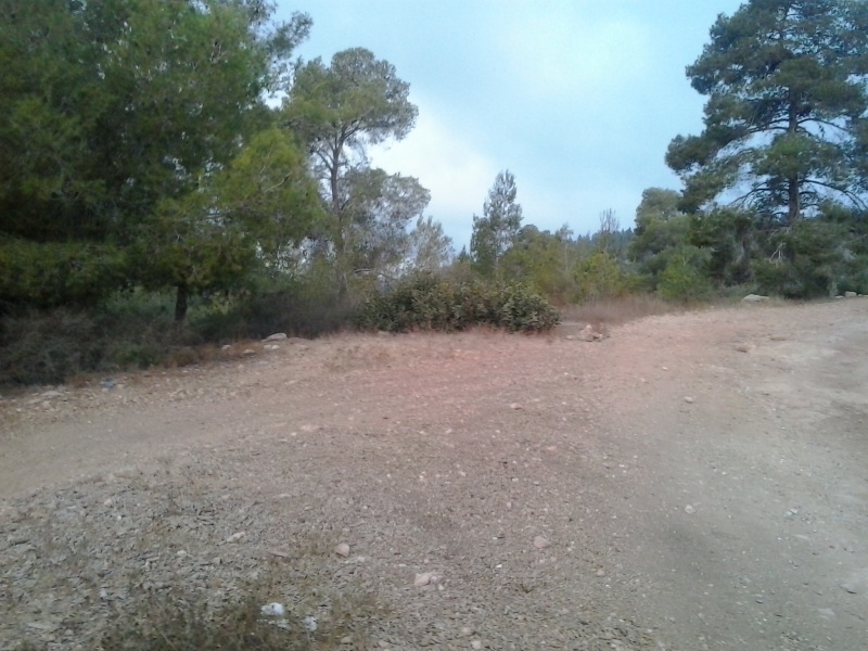 קובץ:2014.09.18-073721.085.android.jpg