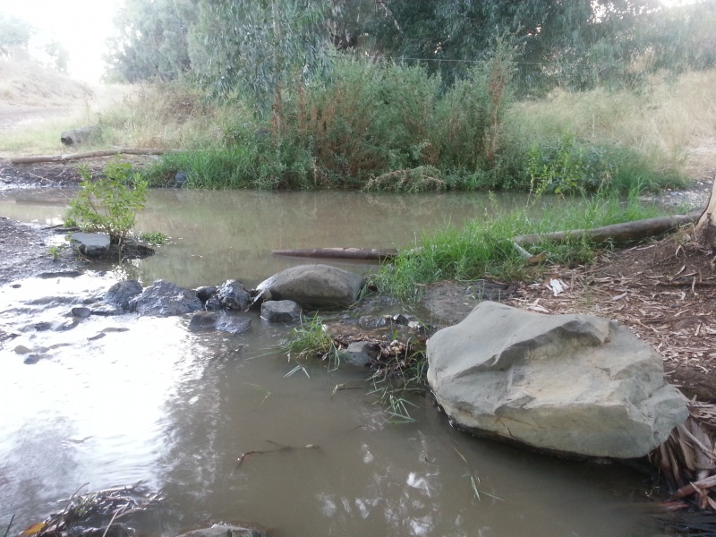 קובץ:2014.09.25-191432.005.android.jpg