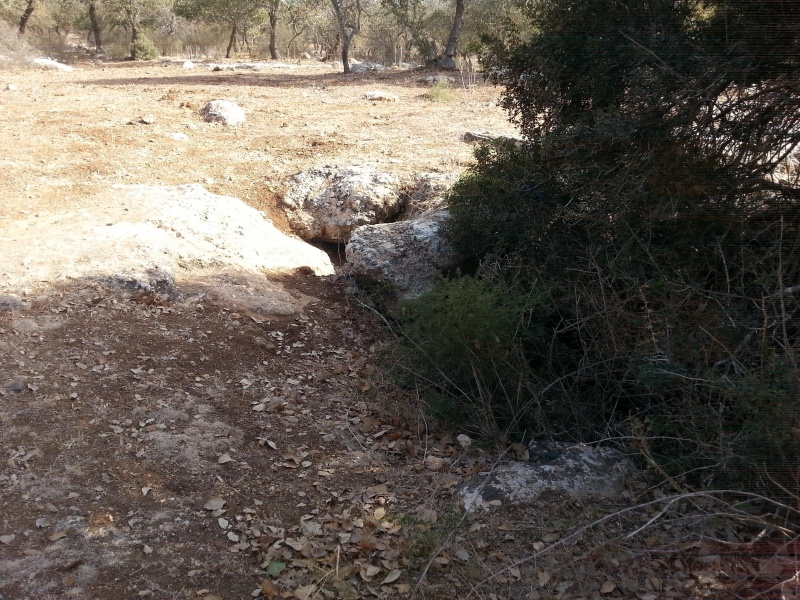 קובץ:2014.09.27-100251.002.android.jpg