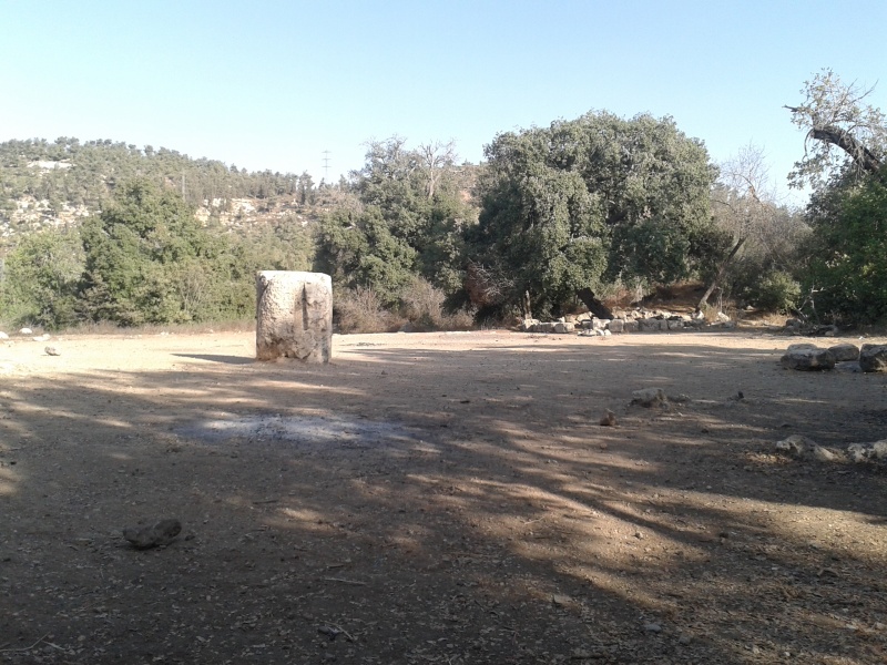 קובץ:2014.10.07-170624.870.android.jpg
