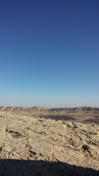 קובץ:2014.11.08-155323.111.android.jpg