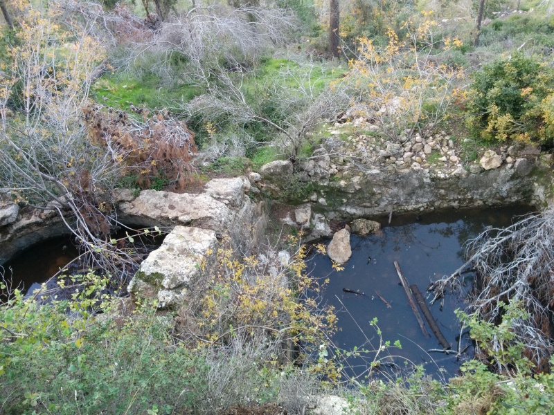 קובץ:2014.12.06-171117.306.android.jpg