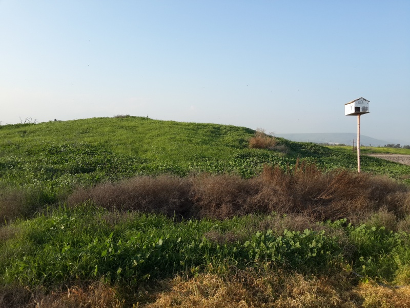 קובץ:2014.12.27-160933.500.android.jpg