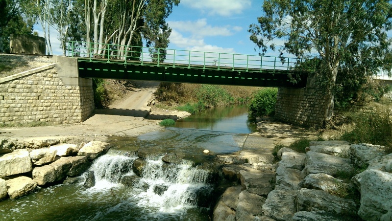 קובץ:2015-05-04 15.19.29.jpg