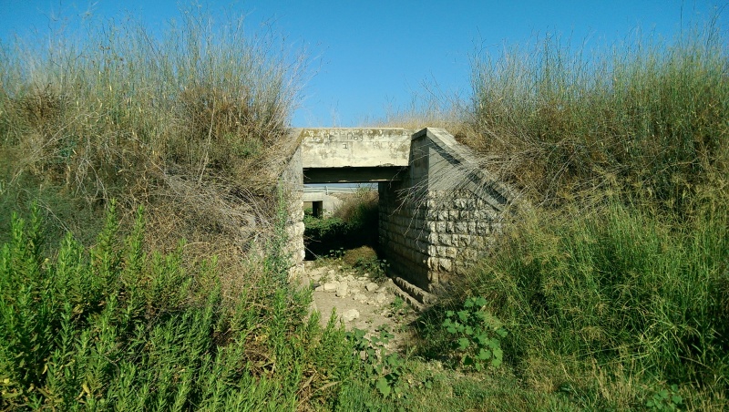 קובץ:2015-07-09 גשר-נחל-יכון.jpg