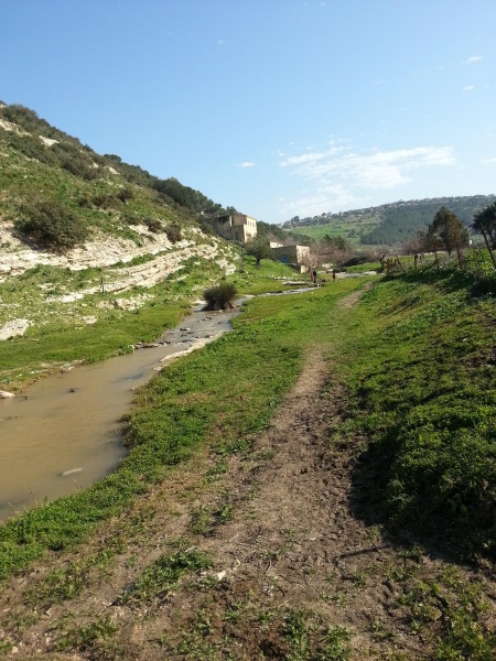 קובץ:2015.01.24-112318.538.android.jpg