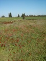 תמונה ממוזערת לגרסה מתאריך 10:08, 31 בינואר 2015