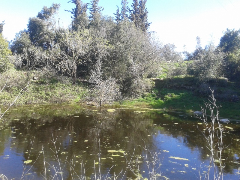 קובץ:2015.02.28-150925.813.android.jpg