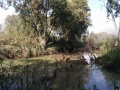 תמונה ממוזערת לגרסה מתאריך 08:42, 25 באפריל 2015