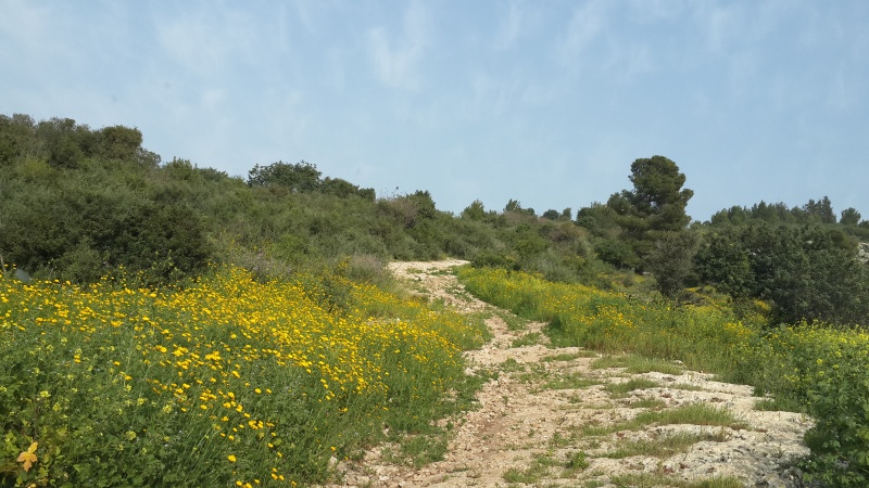 קובץ:2015.03.11-161445.559.android.jpg