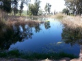 תמונה ממוזערת לגרסה מתאריך 09:00, 26 במרץ 2015