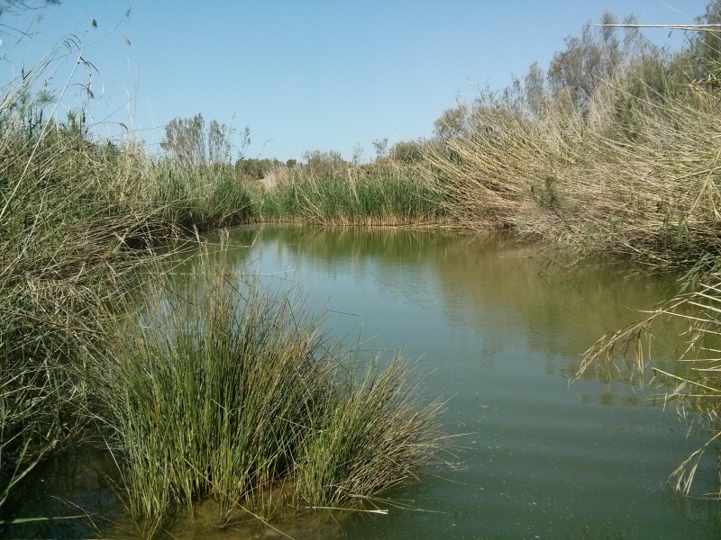 קובץ:2015.04.07-152548.780.android.jpg