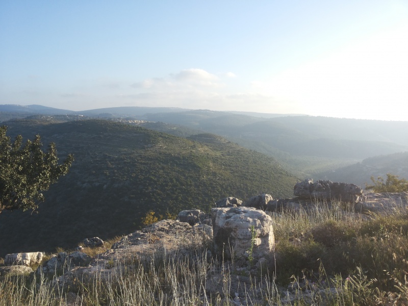 קובץ:2015.04.18-191736.383.android.jpg