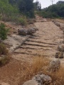 תמונה ממוזערת לגרסה מתאריך 07:31, 24 במאי 2015