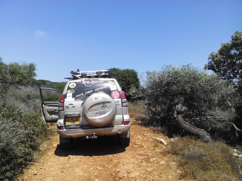 קובץ:2015.07.03-151558.914.android.jpg