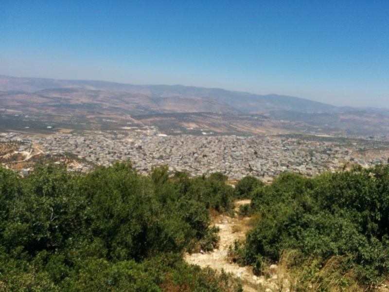 קובץ:2015.07.07-141132.045.android.jpg