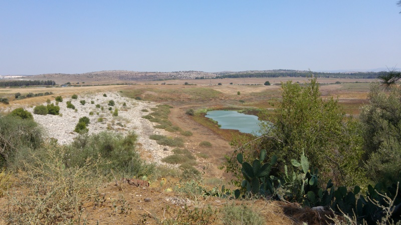 קובץ:2015.08.21-134038.587.android.jpg