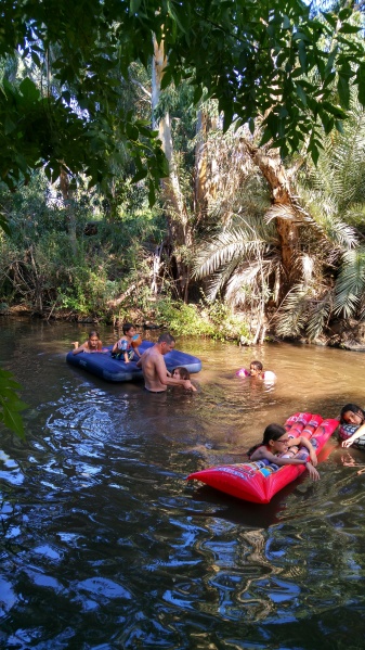 קובץ:2015.08.21-165912.322.android.jpg