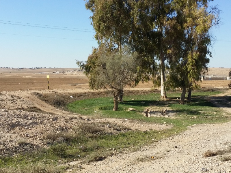 קובץ:2015.12.06-125940.829.android.jpg