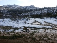 2015 שלג ריצה בית זית 09.jpg