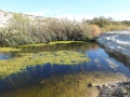 תמונה ממוזערת לגרסה מתאריך 13:55, 4 בינואר 2016