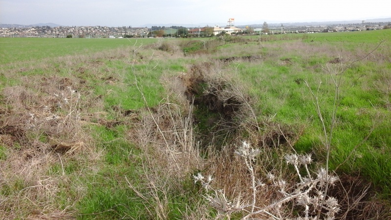 קובץ:2016.01.05-153021.237.android.jpg