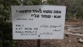 תמונה ממוזערת לגרסה מתאריך 12:26, 14 בינואר 2016