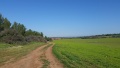 תמונה ממוזערת לגרסה מתאריך 08:12, 23 בינואר 2016