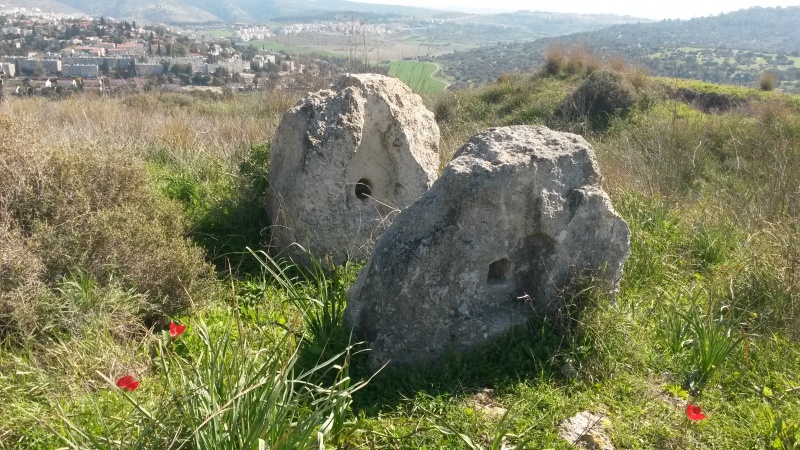 קובץ:2016.01.31-124208.072.android.jpg