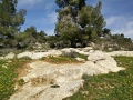 תמונה ממוזערת לגרסה מתאריך 17:01, 13 בפברואר 2016