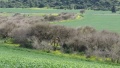 תמונה ממוזערת לגרסה מתאריך 18:05, 17 במרץ 2016