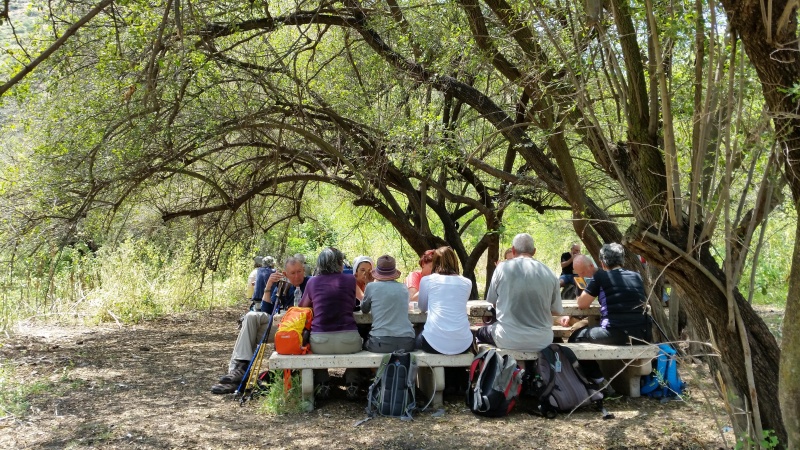 קובץ:2016.04.15-133513.173.android.jpg