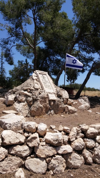 קובץ:2016.05.12-131014.304.android.jpg