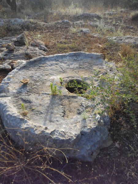 קובץ:2016.06.30-075502.176.android.jpg