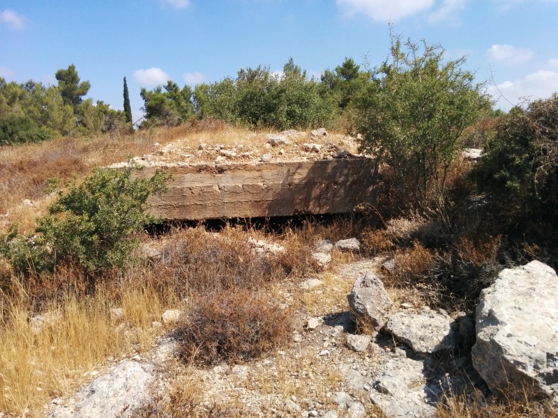 קובץ:2016.07.05-105122.594.android.jpg