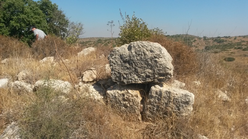 קובץ:2016.07.28-110742.579.android.jpg