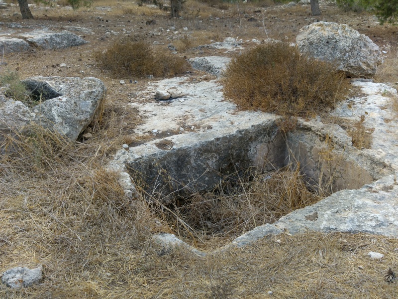 קובץ:2016.09.16-132738.975.android.jpg