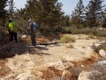 תמונה ממוזערת לגרסה מתאריך 11:06, 25 בספטמבר 2016