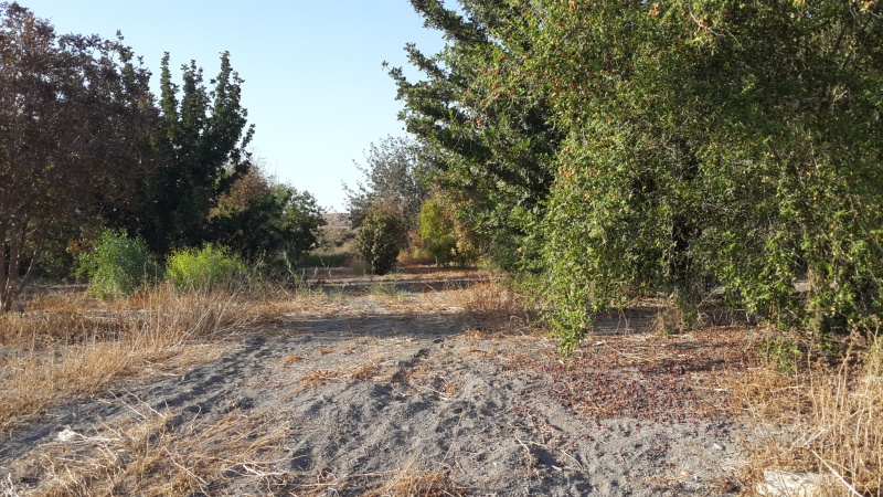 קובץ:2016.10.04-174349.325.android.jpg