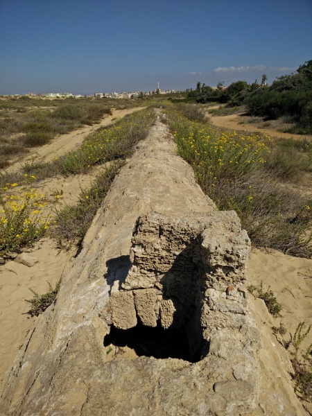 קובץ:2016.10.20-132852.779.android.jpg