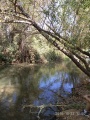 תמונה ממוזערת לגרסה מתאריך 08:50, 29 באוקטובר 2016