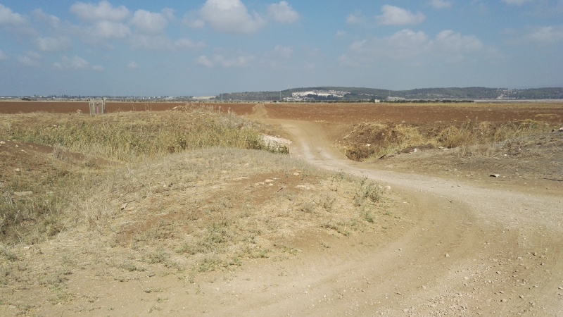 קובץ:2016.10.30-122603.070.android.jpg