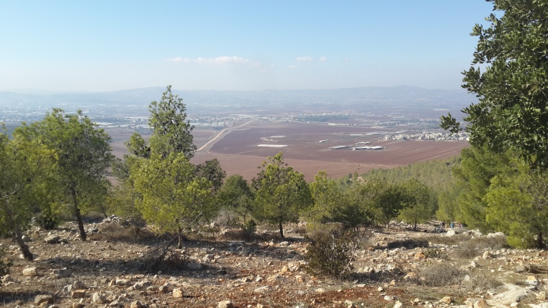 קובץ:2016.12.10-114009.876.android.jpg