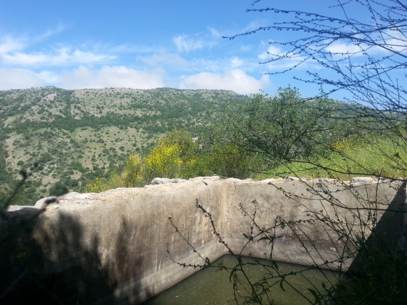 קובץ:20160427 103423.jpg