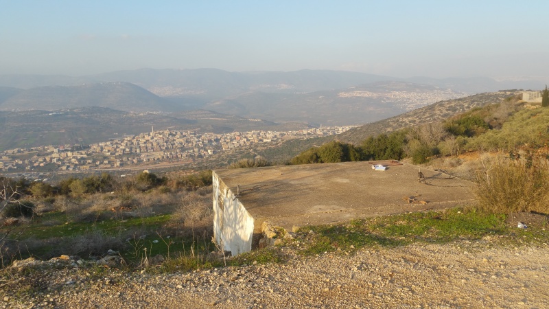 קובץ:2017.01.18-166025.742.android.jpg