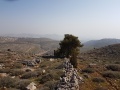 תמונה ממוזערת לגרסה מתאריך 14:07, 21 בפברואר 2017