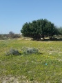 תמונה ממוזערת לגרסה מתאריך 13:45, 10 בפברואר 2017